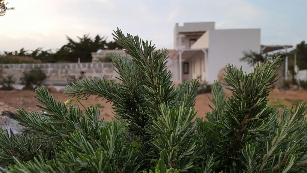 Casa Vacanze Senia Del Rais Φαβινιάνα Εξωτερικό φωτογραφία